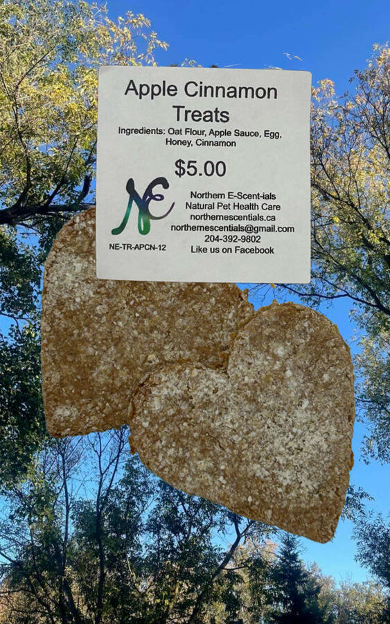 Apple Cinnamon Treats