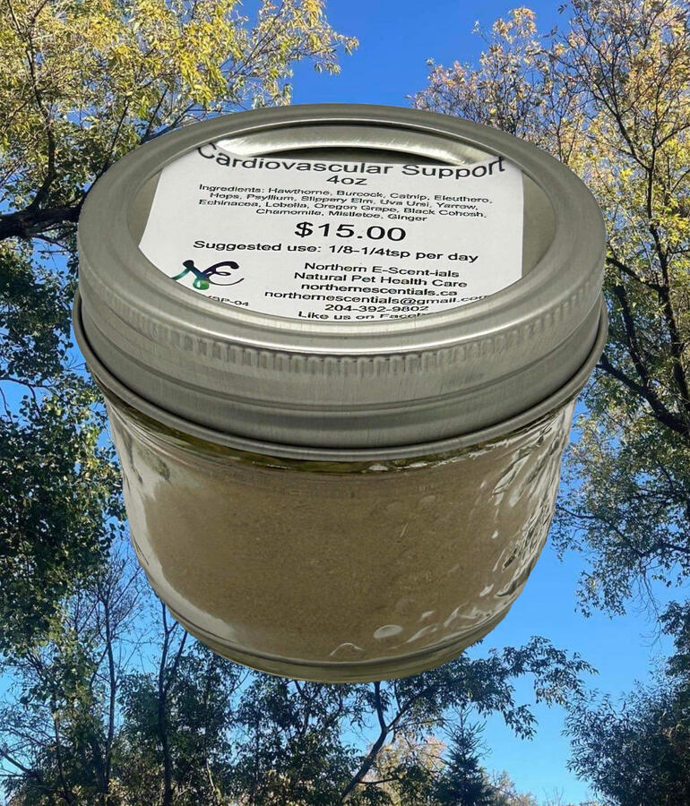 Cardiovascular Support