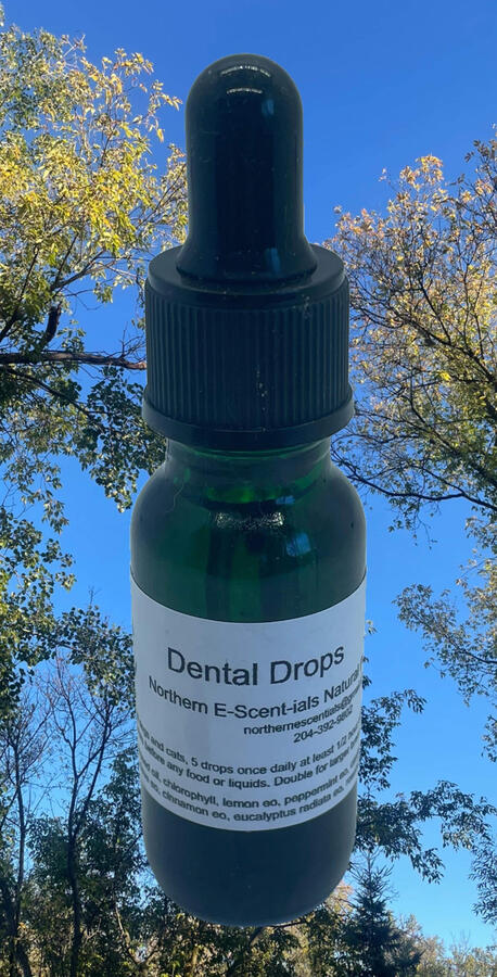 Dental Drops