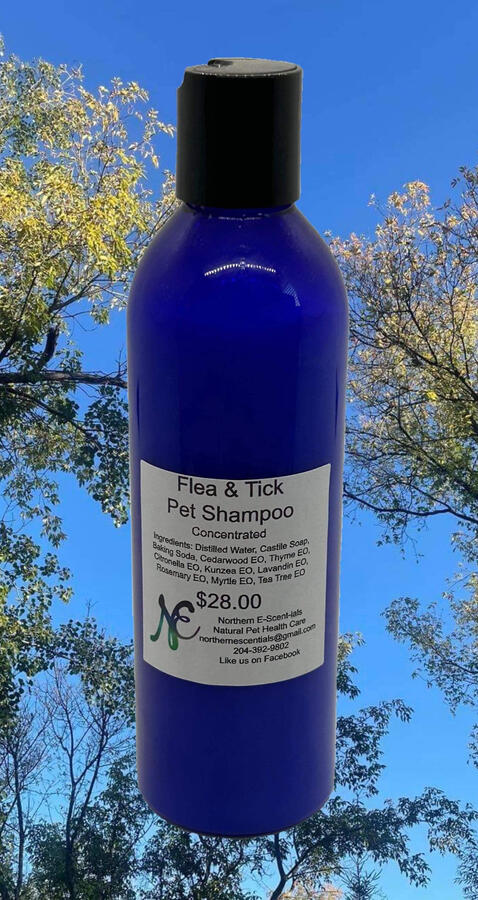 Flea &amp; Tick Shampoo